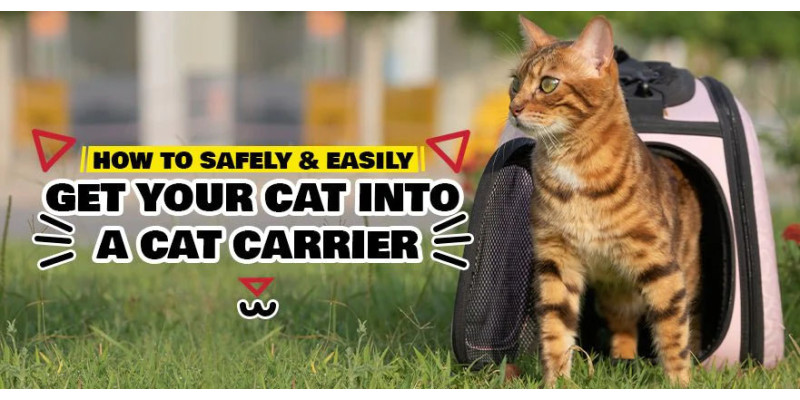 8 Calming Techniques for Cats in Cat Carrier