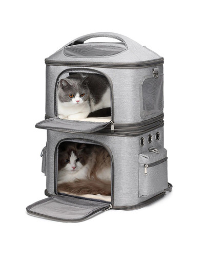 Cat backpack for 2 cats (or lots of kittens)