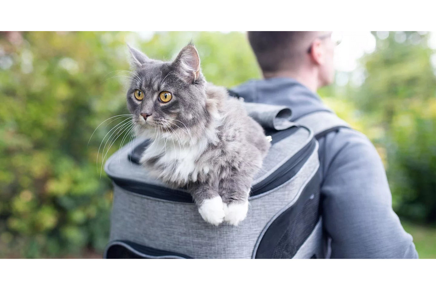Happy clients traveling with a cat