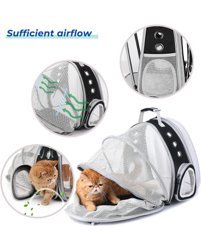 Cat bubble backpack - expandable version Cat bubble backpack - expandable version