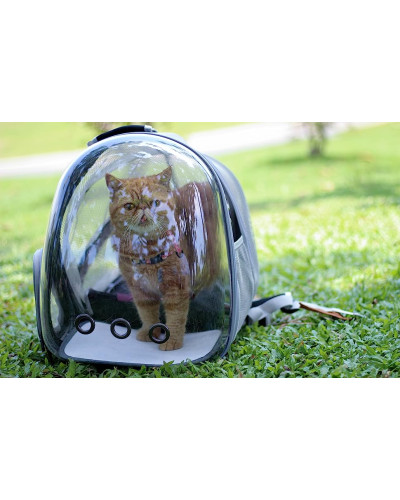 Cat bubble backpack - expandable version Cat bubble backpack - expandable version