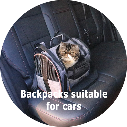 Cat Backpacks suitable for car