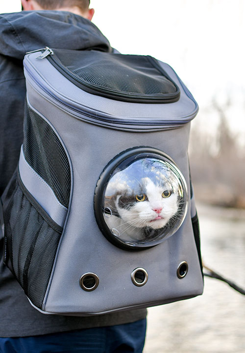 Space capsule cat backpack